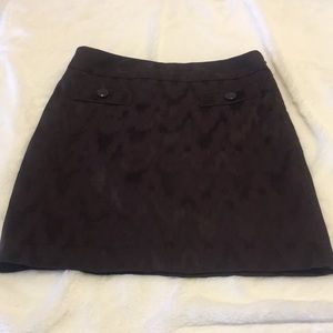 Ann Taylor Skirt